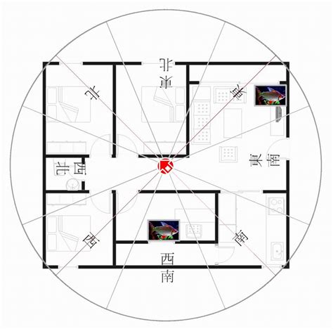 坐西南|坐西南朝東北的12個房屋風水專業建議，助你選擇最佳住宅 